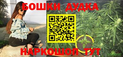 гидропоника Гатчина